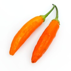 aji littlefinger aji littlefinger