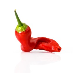 aji crystal aji crystal