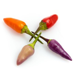 blue X-mas blue X-mas