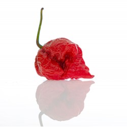 Carolina REAPER